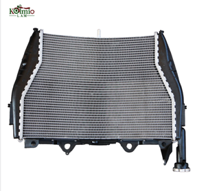 Ajuste para BMW S1000RR 2009 - 2017 <span class=keywords><strong>2018</strong></span>, piezas <span class=keywords><strong>de</strong></span> repuesto, Enfriador <span class=keywords><strong>de</strong></span> radiador, tanque <span class=keywords><strong>de</strong></span> <span class=keywords><strong>agua</strong></span> <span class=keywords><strong>de</strong></span> refrigeración - Product Image 5