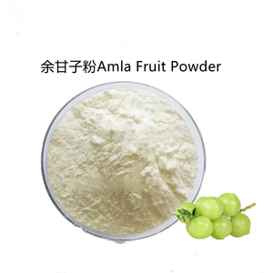 Poudre de fruit d'<span class=keywords><strong>alma</strong></span> de qualité alimentaire, poudre de groseille indienne pour complément alimentaire, ingrédient de poudre de fruit d'<span class=keywords><strong>alma</strong></span> - Product Image 2