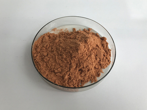 Nhà Máy Trung Quốc Cung Cấp Giá Bột Ca Cao Cạnh Tranh - Product Image 4