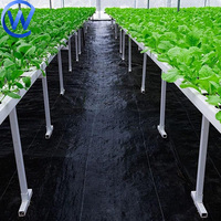 Toile de paillage agricole en rouleaux 130 g/m² et 230 g/m² de 9 m pour serres - Contrôle des adventices