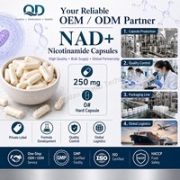 Capsules de Nicotinamide NAD végétaliennes non OGM 250 mg, directement de l'usine, pour lutter contre le vieillissement et l'augmentation de l'énergie, fabricant OEM