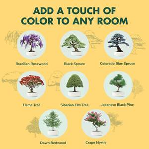 Kit d'arbre bonsaï <span class=keywords><strong>de</strong></span> rebord <span class=keywords><strong>de</strong></span> fenêtre ensemble <span class=keywords><strong>de</strong></span> jardinage d'intérieur en bois avec visionneuse <span class=keywords><strong>de</strong></span> racines pour la conception artificielle décorative <span class=keywords><strong>de</strong></span> la fête des pères - Product Image 5