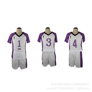 ชุดนักเรียนโรงเรียนมัธยมชิราโทริซาวะ ไฮคิว คอสเพลย์ เสื้อเจอร์ซีย์แขนสั้น ชุดกีฬาทีม ยูนิเซ็กซ์ โพลีเอสเตอร์ พิมพ์ลายแบบซับลิเมชั่น - Product Image 2