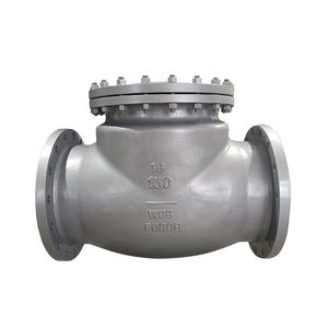 Válvula de Retención de Columpio de Acero al Carbono WCB de 12 Pulgadas, 150 LB, Brida RF, Envío Gratis, Suministro de Fábrica - Product Image 2