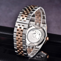 Nouvelle montre automatique de luxe PAGANI DESIGN YS027 2025 avec cadran en losange pour hommes, montre-bracelet mécanique de mode et d'affaires, cristal saphir