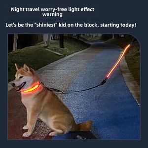 Leuchtendes 100% Nylon Hundehalsband für Spaziergänge Wiederaufladbar & Verstellbar für Große/Mittlere/Kleine Hunde - Product Image 5