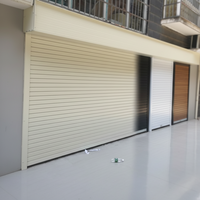 Volets roulants en aluminium de haute qualité de style européen, vente en gros, taille personnalisée, porte roulante électrique de sécurité, vente directe d'usine