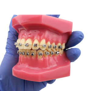Modelo de Tipodonto Dental de Ortodoncia Smiledental TM-B6-01 con Soportes Metálicos, Ayuda Didáctica de Resina para Entrenamiento Oral - Product Image 3