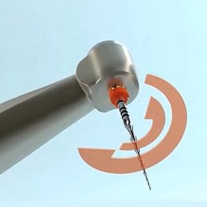 Motore <span class=keywords><strong>Endo</strong></span> unico File per il trattamento canalare dentale strumenti rotanti efficienti macchinari di potenza per la terapia endodontica - Product Image 3