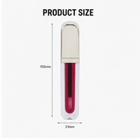 Tube de gloss à lèvres en or électroplaqué, 4 ml, longue tenue, minéral biologique, format échantillon pour maquillage quotidien, fournisseur de marque privée