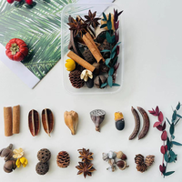 Kit de fleurs séchées DIY pour Noël, cône de pin naturel, bâton de cannelle, tranche d'orange séchée, fournitures artisanales botaniques