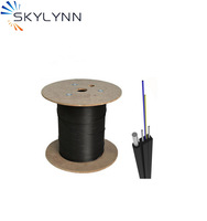 Câble de Raccordement FTTH 2 Fibres Intérieur/Extérieur G657A 1550nm, pour Réseaux de Communication à Fibre Optique avec Fils en FRP, KFRP ou Acier