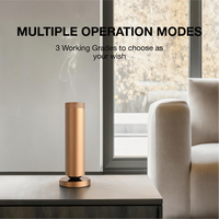 Diffuseur d'huiles essentielles promotionnel en métal pour hôtel, diffuseur d'air frais, diffuseur électrique USB sans eau pour la maison et le bureau, 100 ml