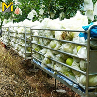 Monorriel Agrícola de Última Generación para Transporte en Huertos y Montañas con Caja de Cambios