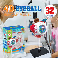 Kit de Juguete de Modelo Educativo de Anatomía de Órganos Humanos Modelo de Aprendizaje de Estructura del Ojo 4D Juguete DIY de Globo Ocular Modelo de Enseñanza para Niños