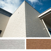 Panneau de façade en fibro-ciment poli de la série Brick, revêtement mural extérieur, bardage, matériau de construction pour hôpital