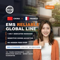 Agent logistique aérien express EMS LHS Chine-France : Livraison transfrontalière, dédouanement rapide, devis immédiat