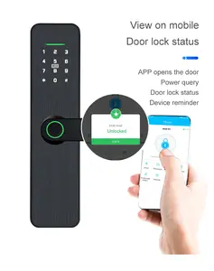 New Arrival Smart Door Lock WiFi Bluetooth Connectivity Cloud Memory Card Data Storage Compatible Wood Aluminum Steel Brass