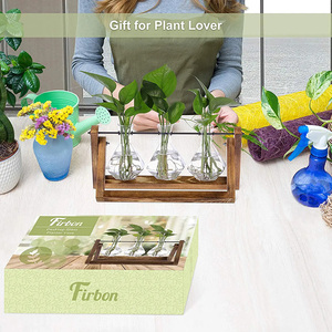 Wholesale Glass Bulb Vase Solid Wooden <b>Stand</b> Metal Swivel Holder for Hydroponics Plants Desktop Home Garden - Product Image 4