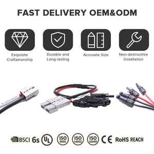 Arnés de Cableado para Almacenamiento de Energía de Batería, Comunicación RS485, Aislamiento de PVC/PBT, Sello de Goma para Automóviles y Motocicletas - Product Image 4