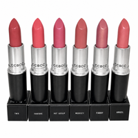 Rouge à lèvres mat velours haute pigmentation, couleur modulable, longue tenue, anti-transfert, tube noir argenté classique, cosmétique pour les lèvres