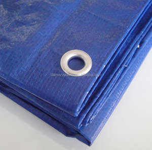 Rollo de <span class=keywords><strong>lona</strong></span> de PE azul de alta calidad 2x100 <span class=keywords><strong>Lona</strong></span> de <span class=keywords><strong>lona</strong></span> impermeable para coches y piscinas Patrón recubierto para niños y niñas - Product Image 6