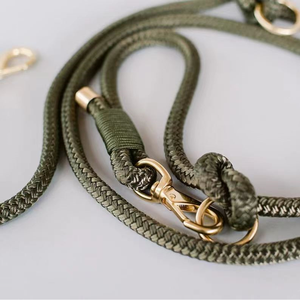 गर्म बिक्री प्यारा कुत्ता पट्टा क्लासिक ठोस पहाड़ चढ़ाई टिकाऊ गोल रस्सी कुत्ते के साथ पालतू पट्टा - Product Image 2