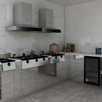 Armoire de cuisine Prima personnalisée en acier inoxydable de style minimaliste, rangement robuste pour la rénovation de la maison et les projets de cuisine hôtelière