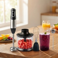 Mixeur Plongeant 2-en-1 HB-201 150W Sans Fil Rechargeable USB en Acier Inoxydable avec Hachoir 600ml pour la Maison