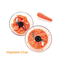 Fabriek Prijs 220V Fruitpers Groente Cutter Vlees Chopper