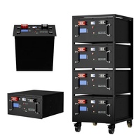 Batterie au lithium LiFePO4 Fortune Power Rack montée sur support 48V 51.2V 200Ah pour stockage d'énergie domestique, garantie 5 ans, 6000 cycles