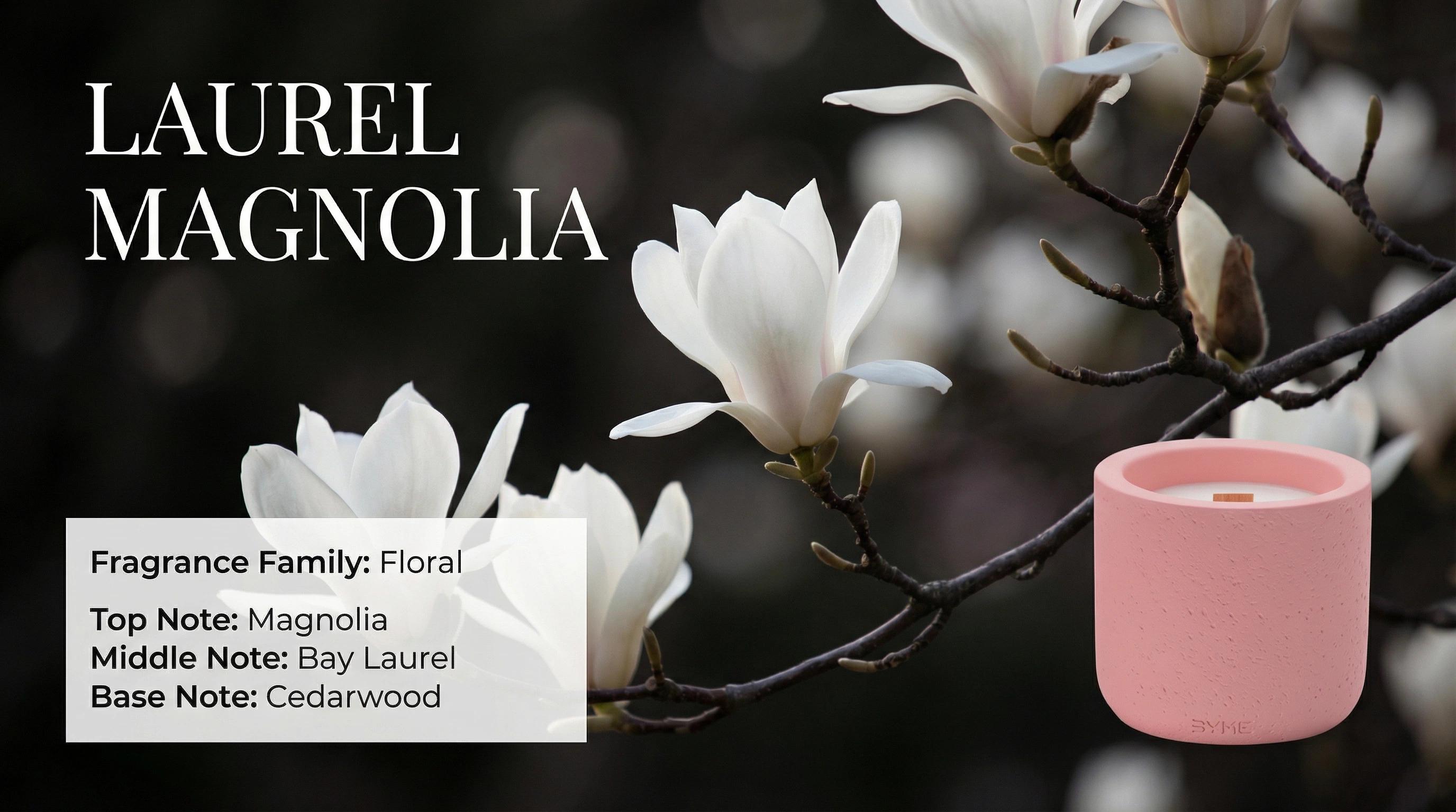 Laurel Magnolia