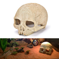 Aquarium Aquarium aménagement paysager décoration scorpion araignée lézard serpent python squelette crâne élevage maison abri ornements