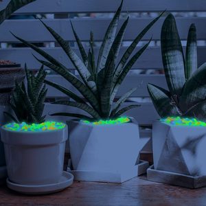 <span class=keywords><strong>Pietre</strong></span> Luminose in Plastica Sostenibile all'Ingrosso, Ciottoli Fluorescenti da 4,5 cm <span class=keywords><strong>per</strong></span> Decorazioni da Esterno, Casa e <span class=keywords><strong>Giardino</strong></span> - Product Image 5