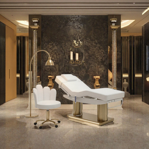 Moderna y Lujosa Camilla de Masaje Eléctrica de Acero Inoxidable con Doble Columna y 4 Motores para Salón de Belleza, con Iluminación LED - Product Image 2
