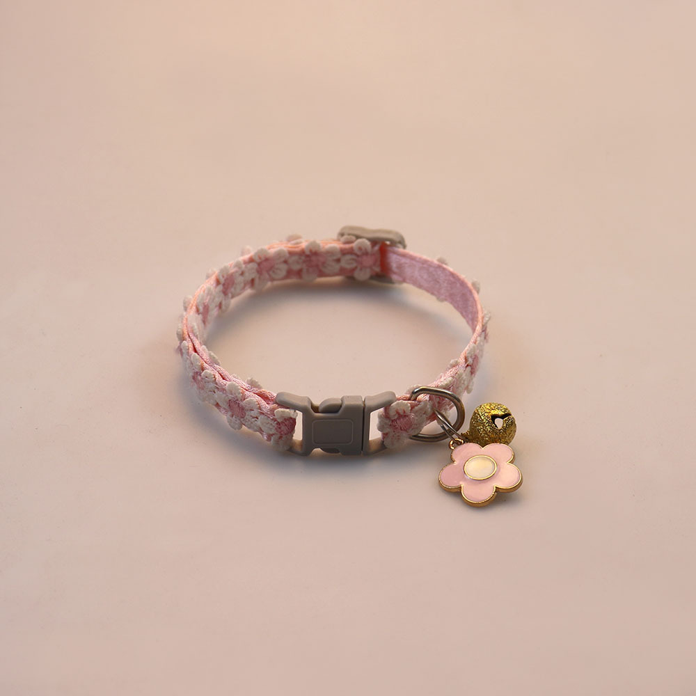 3 สีสันสดใส