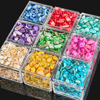 Ensemble de 9 couleurs de pierres concassées pour nail art DIY, décoration de fête, chaque nuance 5g, embellissements de manucure vibrants et élégants