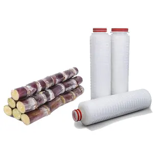 Manufacturer of Glass Microfiber Pleated Filter Cartridge with 226 222 End Cap for Filtration