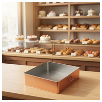 Boîte en métal carrée de luxe RTS, grande taille 240*240*68mm, personnalisable, pour gâteaux, collations, biscuits, bonbons, souvenirs, emballage cadeau vide