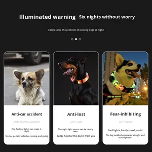 Correa LED para mascotas, Collar luminoso para caminar para perros con carga USB, <span class=keywords><strong>Material</strong></span> impermeable de goma de PVC, correa para caminar al aire libre, Correa LED para perros - Product Image 4