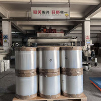 Roll Jumbo Film Peregangan LLDPE Tahan Lama dan Lembut dengan Proses Casting, Daya Regang hingga 500%, Anti Lembab untuk Pembungkus Pallet