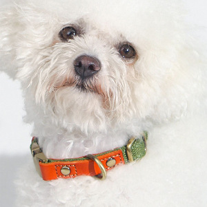 Retro color-blocked pet <b>collar</b>, suitable for small, medium, and <b>large</b> <b>dogs</b>, Pomeranians, cats, and <b>dogs</b>; logo printing - Product Image 1