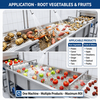 Automatische fruitwasser met oranje citroen groente transportband, luchtbel waterwasmachine, CE-certificering