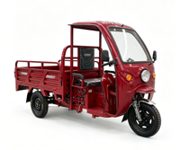 Meilleur Prix Tricycle Électrique à Trois Roues, Caisse de Transport Ouverte, Double Amortisseur à Ressort, 60V 351-500W, pour Logistique Rurale et Petite Expédition