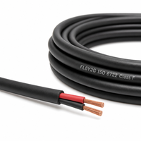 Kabel Otomotif FL6Y2G ISO 6722 Kelas F 210C Berisolasi FEP dengan Selubung Silikon Terikat Silang Dua Inti