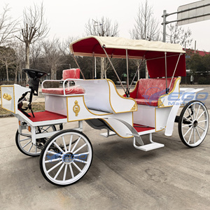 Chariot de transport électrique de type calèche européenne pour le tourisme, les mariages et les événements spéciaux - Product Image 3