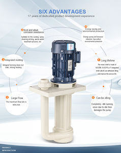 <span class=keywords><strong>Pompe</strong></span> verticale chimique à haute pression et haute efficacité pour le traitement de l'eau et le sablage, sans joint, en plastique, fabriquée en Chine - Product Image 3