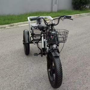 Bestseller NQX Modèle 654 Vélo à pédales électrique 20 pouces avec batterie au lithium, cadre en acier, pneus Fatbike, freins à disque, monovitesse, panier de neige et siège arrière - Product Image 3