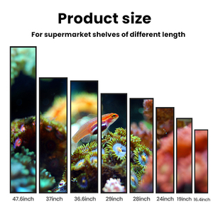 Monitor con Pantalla LCD Android de 12V para Publicidad en Interiores, Centros Comerciales, Metro, <span class=keywords><strong>Supermercados</strong></span>, Estantes, SDK OEM, 1 Año de Garantía - Product Image 3