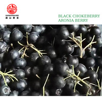 Diepvries Zwarte Chokeberry IQF Hele Vruchten Groothandel Fabrieksdirecte Leverancier China Oorsprong